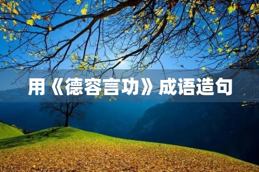 用《德容言功》成语造句