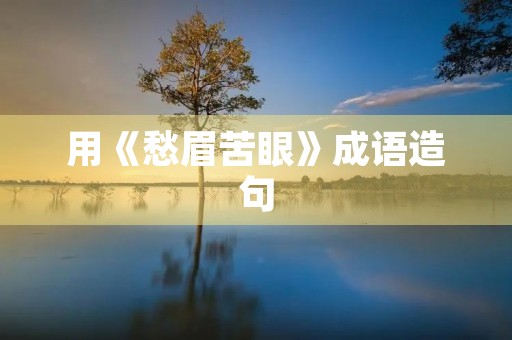 用《愁眉苦眼》成语造句