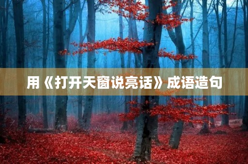 用《打开天窗说亮话》成语造句 用《打开天窗说亮话》成语造句