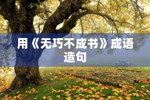 用《无巧不成书》成语造句 用《无巧不成书》成语造句