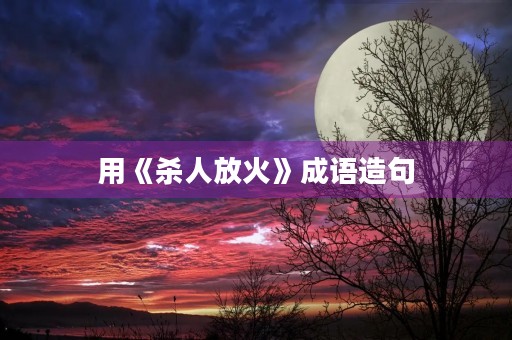 用《杀人放火》成语造句 用《杀人放火》成语造句