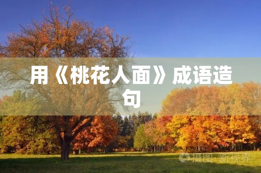 用《桃花人面》成语造句