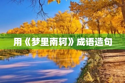 用《梦里南轲》成语造句