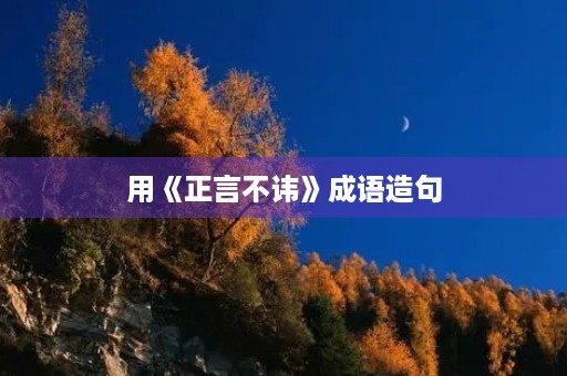 用《正言不讳》成语造句