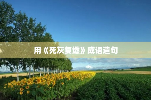 用《死灰复燃》成语造句