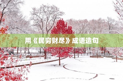 用《民穷财尽》成语造句
