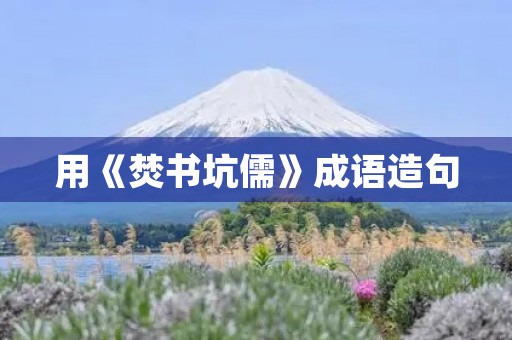 用《焚书坑儒》成语造句 用《焚书坑儒》成语造句