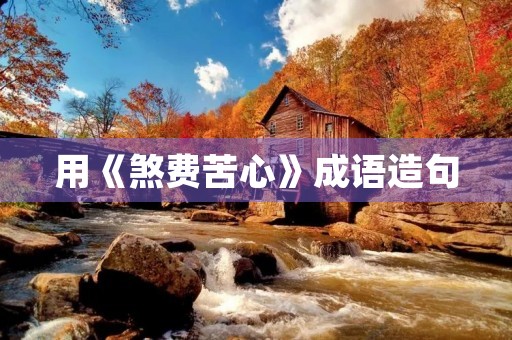 用《煞费苦心》成语造句 用《煞费苦心》成语造句
