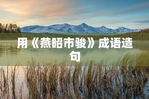 用《燕昭市骏》成语造句