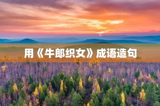用《牛郎织女》成语造句