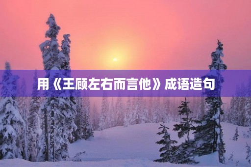 用《王顾左右而言他》成语造句