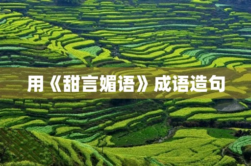 用《甜言媚语》成语造句