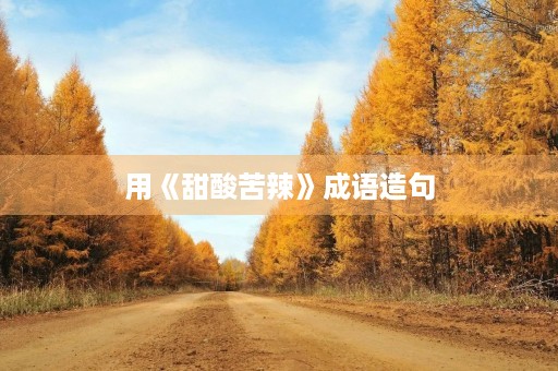 用《甜酸苦辣》成语造句 用《甜酸苦辣》成语造句