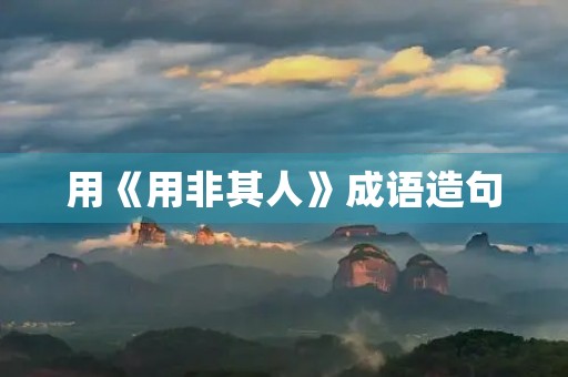 用《用非其人》成语造句