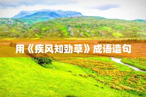 用《疾风知劲草》成语造句 用《疾风知劲草》成语造句