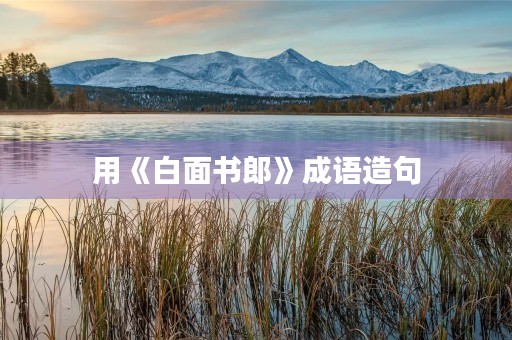 用《白面书郎》成语造句 用《白面书郎》成语造句