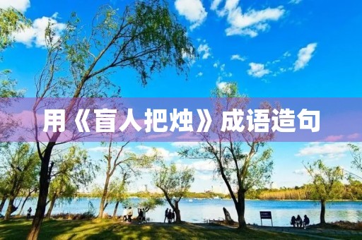 用《盲人把烛》成语造句 用《盲人把烛》成语造句