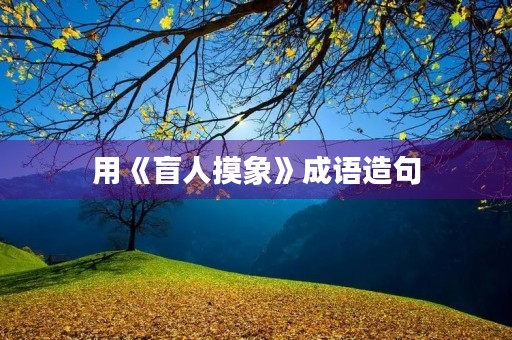 用《盲人摸象》成语造句 用《盲人摸象》成语造句