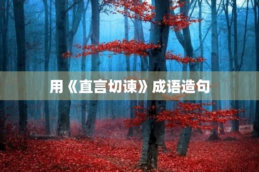 用《直言切谏》成语造句 用《直言切谏》成语造句