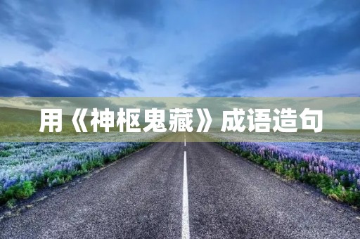 用《神枢鬼藏》成语造句