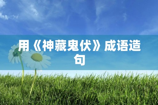 用《神藏鬼伏》成语造句