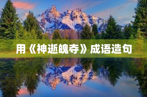 用《神逝魄夺》成语造句