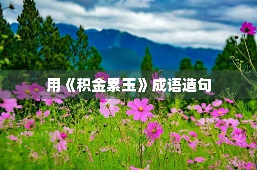 用《积金累玉》成语造句