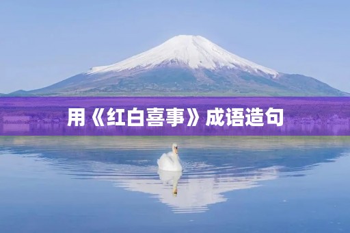 用《红白喜事》成语造句