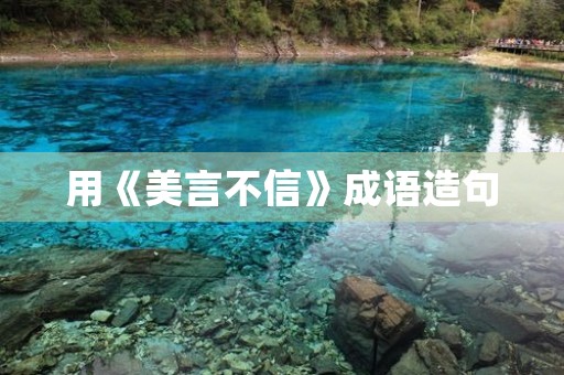 用《美言不信》成语造句 用《美言不信》成语造句
