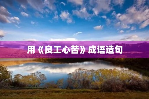 用《良工心苦》成语造句 用《良工心苦》成语造句