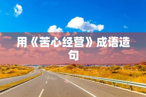 用《苦心经营》成语造句 用《苦心经营》成语造句