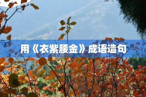 用《衣紫腰金》成语造句