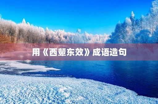 用《西颦东效》成语造句