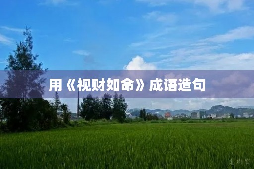 用《视财如命》成语造句 用《视财如命》成语造句