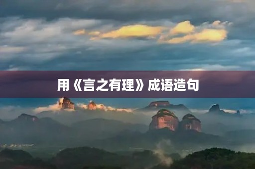 用《言之有理》成语造句