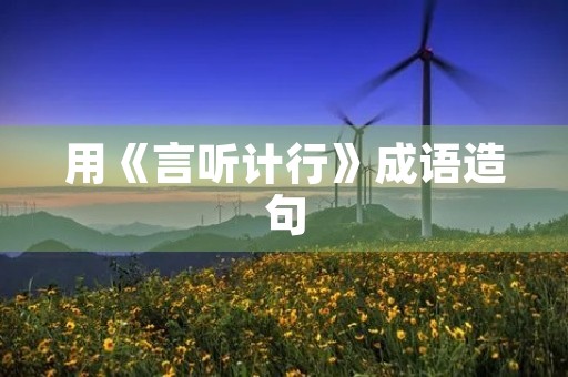 用《言听计行》成语造句