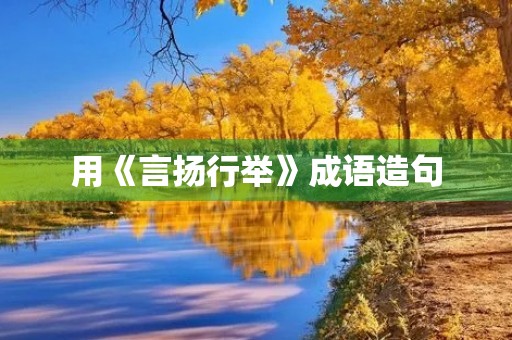 用《言扬行举》成语造句