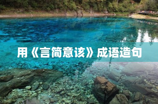 用《言简意该》成语造句 用《言简意该》成语造句