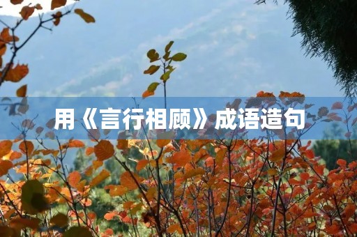 用《言行相顾》成语造句 用《言行相顾》成语造句