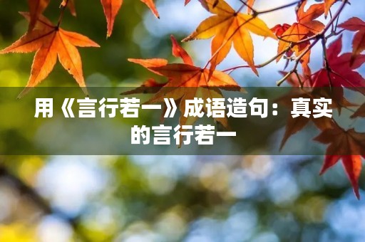用《言行若一》成语造句：真实的言行若一