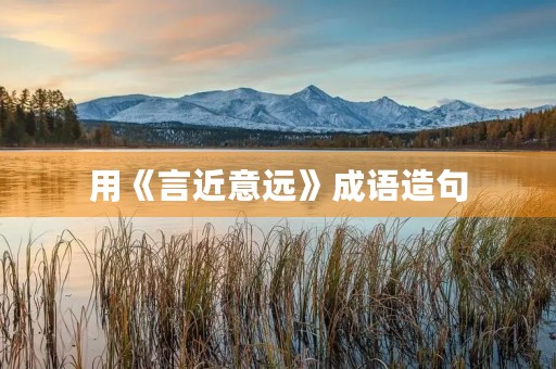 用《言近意远》成语造句 用《言近意远》成语造句