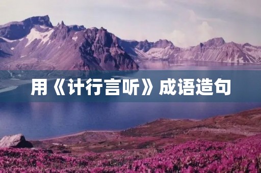 用《计行言听》成语造句 用《计行言听》成语造句