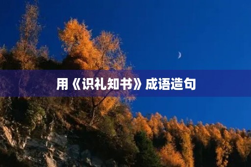 用《识礼知书》成语造句