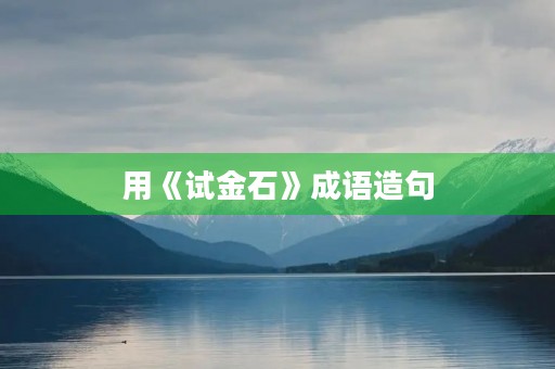 用《试金石》成语造句 用《试金石》成语造句