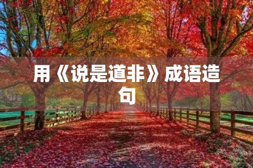 用《说是道非》成语造句 用《说是道非》成语造句