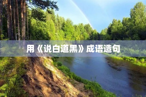 用《说白道黑》成语造句 用《说白道黑》成语造句