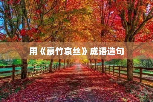 用《豪竹哀丝》成语造句