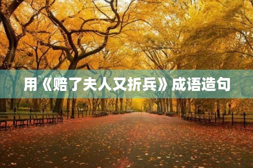 用《赔了夫人又折兵》成语造句 用《赔了夫人又折兵》成语造句