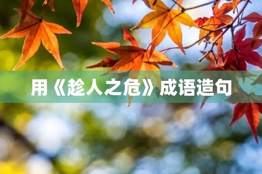 用《趁人之危》成语造句