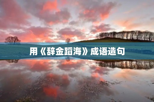 用《辞金蹈海》成语造句 用《辞金蹈海》成语造句